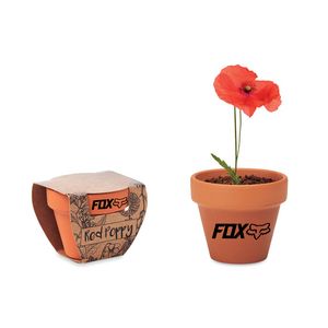 GiftRetail MO6148 - RED POPPY Pot graines de coquelicot Wood