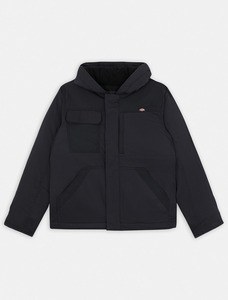 Dickies DK0A4Y5B - Veste DUCK RENEGADE