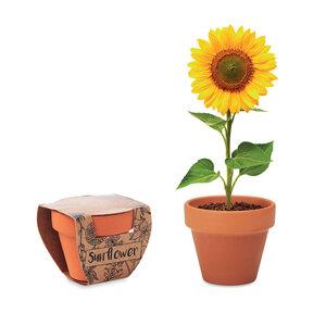 GiftRetail MO6147 - SUNFLOWER Pot graines de tournesol